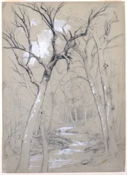 Un Arroyo en el Bosque, 1854